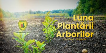 „Luna Plantării Arborilor” în Dâmbovița: Mii de copaci plantați pentru viitorul verde al României!