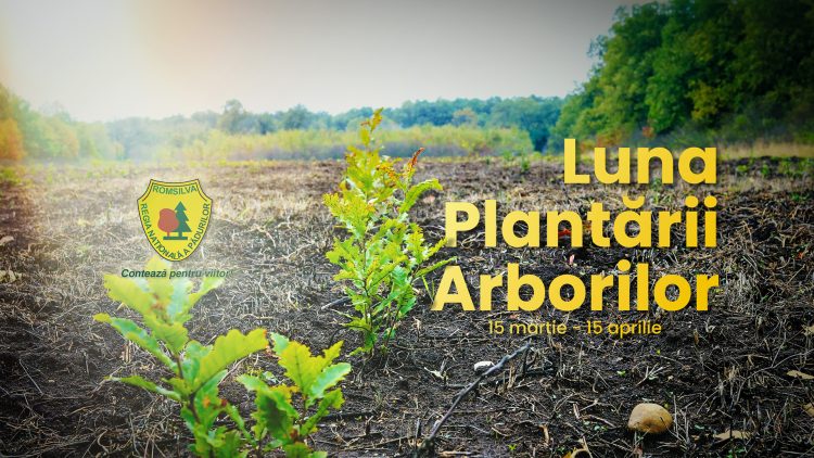 „Luna Plantării Arborilor” în Dâmbovița: Mii de copaci plantați pentru viitorul verde al României!