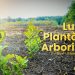 „Luna Plantării Arborilor” în Dâmbovița: Mii de copaci plantați pentru viitorul verde al României!