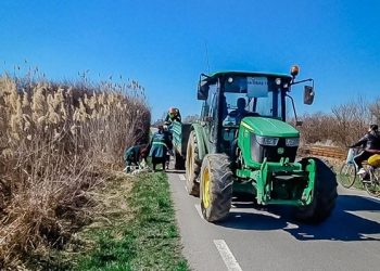 Transformare totală în Titu! Lucrări ample de curățenie și infrastructură pentru un oraș mai frumos și modern!