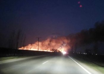 Incendiu de Proporții în Butimanu! Flăcările Cuprind 3.000 de Metri Pătrați de Vegetație!