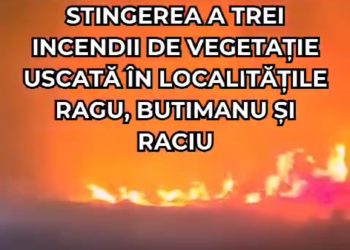 (Video) Incendiile de Vegetație Fac Ravagii în Dâmbovița!