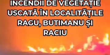 (Video) Incendiile de Vegetație Fac Ravagii în Dâmbovița!