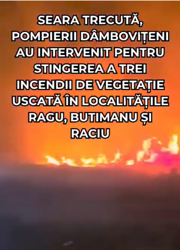 (Video) Incendiile de Vegetație Fac Ravagii în Dâmbovița!