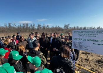 (Foto) „Luna Pădurii” în Dâmbovița: Mii de puieți plantați de voluntari pentru un viitor mai verde