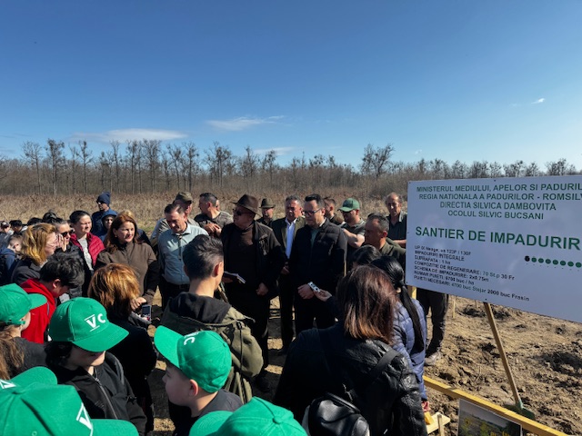 (Foto) „Luna Pădurii” în Dâmbovița: Mii de puieți plantați de voluntari pentru un viitor mai verde