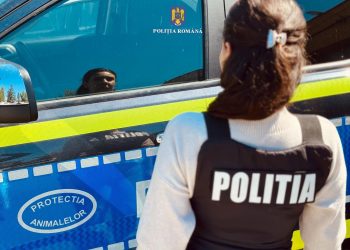 Verificări în Târgoviște pentru protecția animalelor: amenzi de peste 185.000 de lei aplicate de polițiști și medici veterinari