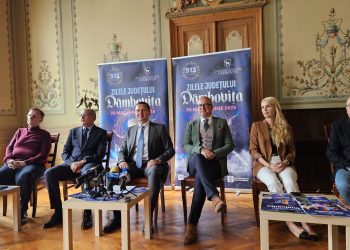 Zilele Județului Dâmbovița 2025: Irina Rimes, Theo Rose, Andrei Ursu și alți artiști de top, pe scena de la Curtea Domnească!