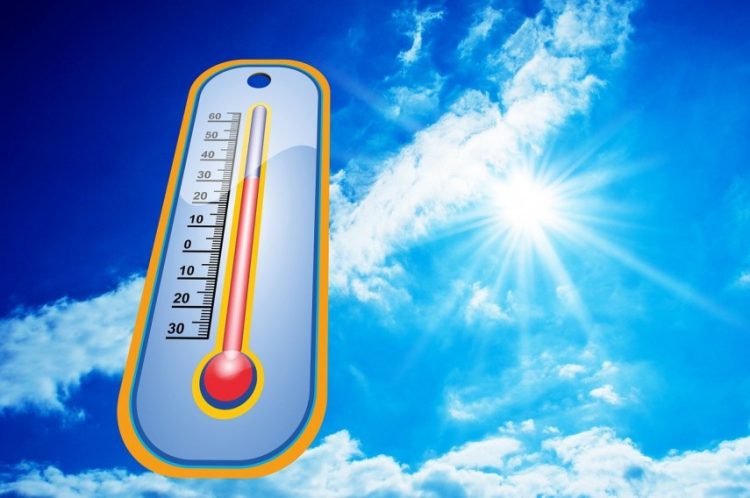 Atenție, angajatori! ITM Dâmbovița intră în acțiune: controale și amenzi de până la 2.500 lei pentru nerespectarea măsurilor pe timp de caniculă!