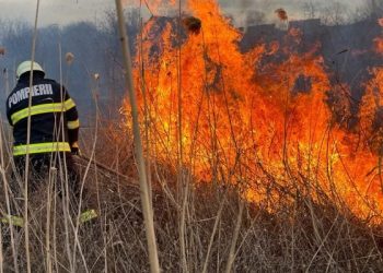 Incendiu de vegetație pe 2 hectare la Sterianu! Pompierii au intervenit prompt – Avertisment pentru cetățeni!