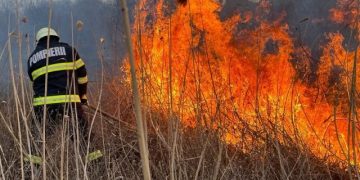 Incendiu de vegetație pe 2 hectare la Sterianu! Pompierii au intervenit prompt – Avertisment pentru cetățeni!
