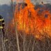 Incendiu de vegetație pe 2 hectare la Sterianu! Pompierii au intervenit prompt – Avertisment pentru cetățeni!