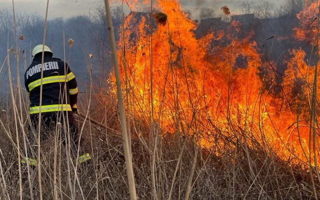 Incendiu de vegetație pe 2 hectare la Sterianu! Pompierii au intervenit prompt – Avertisment pentru cetățeni!