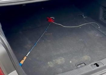 Tânăr din Târgoviște, arestat preventiv după ce și-a agresat fosta concubină și a sechestrat-o! Lovituri cu biciul, pe fondul geloziei
