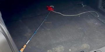 Tânăr din Târgoviște, arestat preventiv după ce și-a agresat fosta concubină și a sechestrat-o! Lovituri cu biciul, pe fondul geloziei