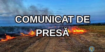 Incendii de vegetație în Dâmbovița: peste 35 de hectare afectate în weekend, intervenții multiple ale pompierilor ISU „Basarab I”