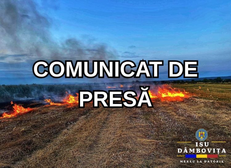 Incendii de vegetație în Dâmbovița: peste 35 de hectare afectate în weekend, intervenții multiple ale pompierilor ISU „Basarab I”