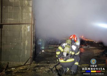 Incendiu în Miez de Noapte la Cândești-Deal: Intervenție Rapidă a Pompierilor