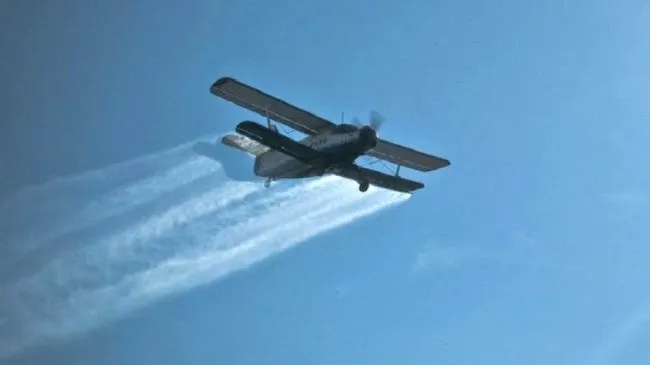 ACȚIUNE DE COMBATERE A INSECTELOR PRIN PULVERIZARE AERIANĂ ÎN PERIOADA 18-22 IUNIE 2025!