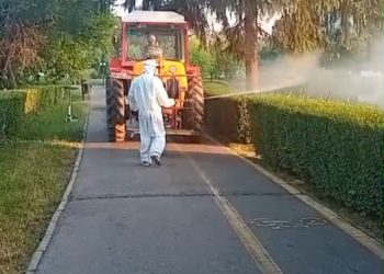 Primăria Târgoviște anunță o nouă etapă de dezinsecție pe domeniul public