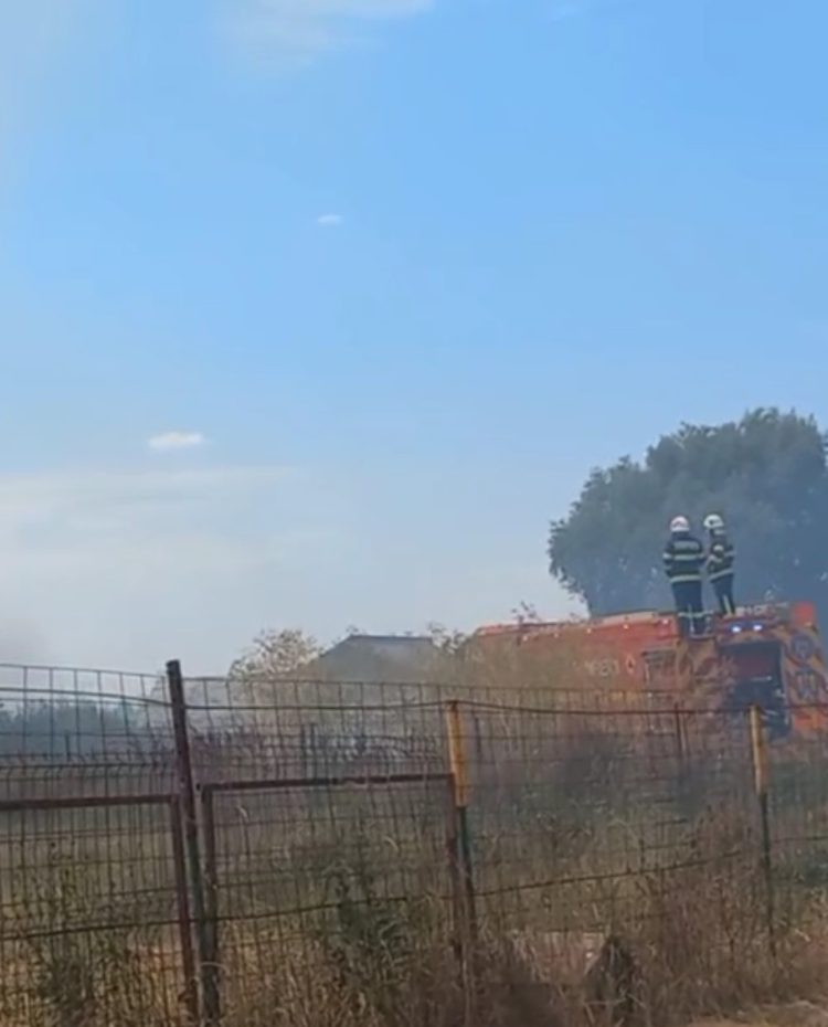 (Video) Incendiu puternic în Târgoviște: Casă și anexă cuprinse de flăcări