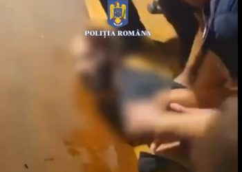 Deținut evadat din Penitenciarul Mărgineni, prins de polițiști după o amplă operațiune în Prahova și Dâmbovița