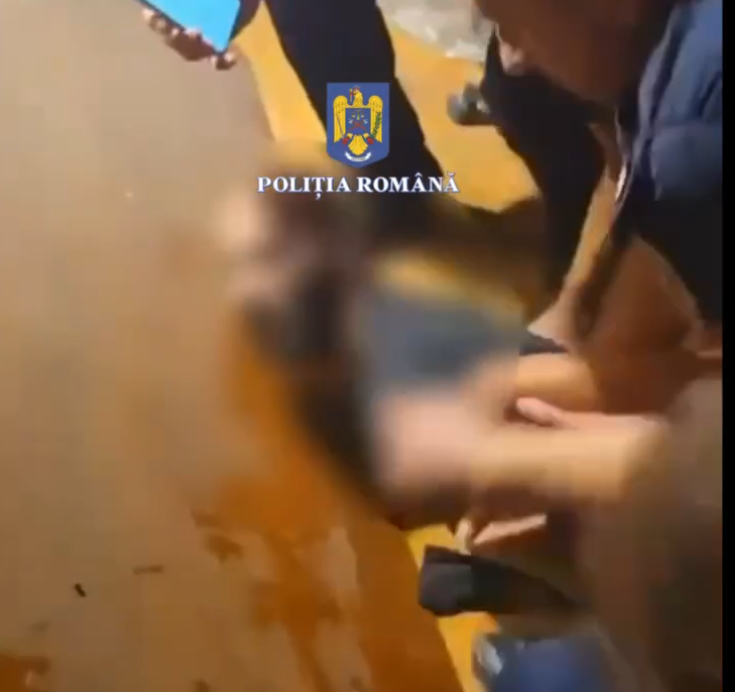Deținut evadat din Penitenciarul Mărgineni, prins de polițiști după o amplă operațiune în Prahova și Dâmbovița