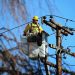 Întrerupere programată a energiei electrice în comuna Butimanu, pe 28 august 2025