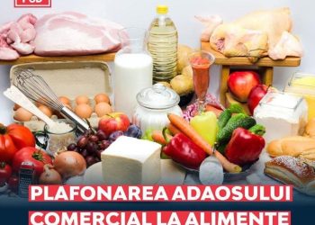 Carmen Holban: Plafonarea adaosului la alimentele de bază rămâne o măsură esențială pentru sprijinirea românilor