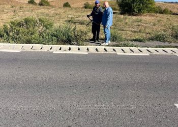 Acțiune de combatere a ambroziei în comuna Butimanu