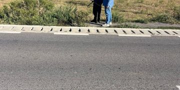 Acțiune de combatere a ambroziei în comuna Butimanu