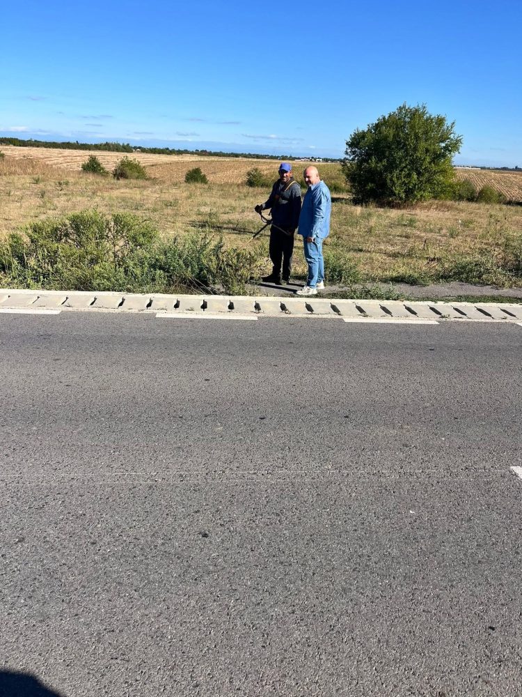 Acțiune de combatere a ambroziei în comuna Butimanu