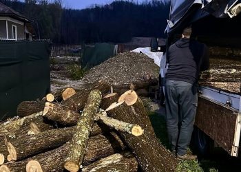 Transport ilegal de lemne, depistat pe DJ 702 B în comuna Crângurile