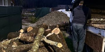 Transport ilegal de lemne, depistat pe DJ 702 B în comuna Crângurile