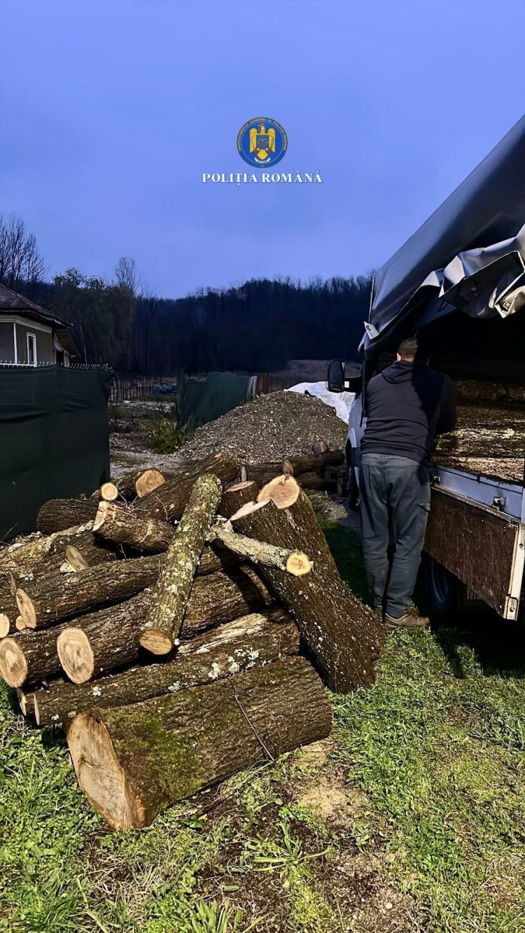 Transport ilegal de lemne, depistat pe DJ 702 B în comuna Crângurile