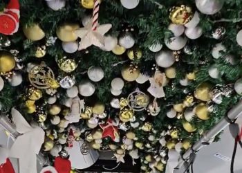 Magie pe roți la Târgoviște: Autobuzele lui Moș Crăciun sunt gata de drum!