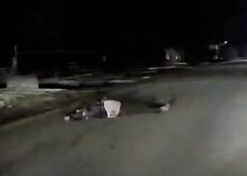 Accident rutier în Găești: bărbat rănit după impactul dintre un atelaj hipo și un autoturism