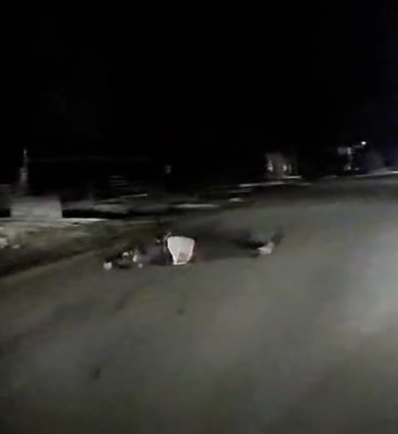 Accident rutier în Găești: bărbat rănit după impactul dintre un atelaj hipo și un autoturism