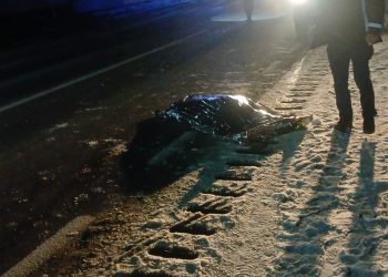 ACCIDENT MORTAL ÎN GURA OCNIȚEI: UN BĂRBAT ȘI-A PIERDUT VIAȚA DUPĂ CE A FOST LOVIT DE O MAȘINĂ
