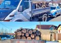 Transporturi ilegale de lemn, oprite în trafic: peste 3,9 mc confiscați într-o singură zi