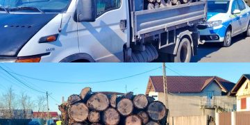 Transporturi ilegale de lemn, oprite în trafic: peste 3,9 mc confiscați într-o singură zi