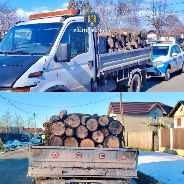 Transporturi ilegale de lemn, oprite în trafic: peste 3,9 mc confiscați într-o singură zi