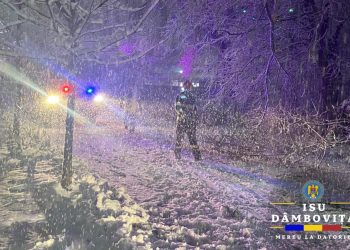 Bilanț intervenții ISU Dâmbovița în contextul vremii severe: 56 de misiuni și mii de consumatori afectați de întreruperi de energie electrică