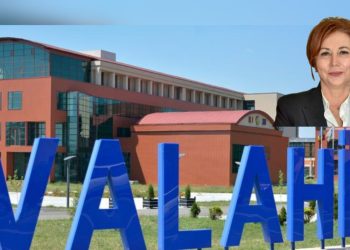 Deputat Carmen Holban: „NU sacrificați Universitatea Valahia pe altarul austerității! Educația din Dâmbovița nu este de vânzare!”