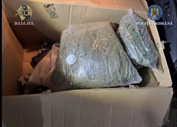 Tânăr de 22 de ani, prins în flagrant cu 4,5 kilograme de canabis aduse din Spania