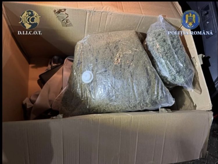 Tânăr de 22 de ani, prins în flagrant cu 4,5 kilograme de canabis aduse din Spania