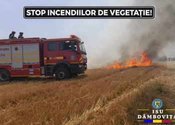 STOP INCENDIILOR DE VEGETAȚIE
