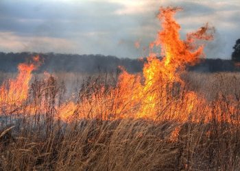 Incendiu de vegetație uscată la Vulcana-Pandele: pompierii militari din cadrul ISU Dâmbovița au intervenit pentru stingerea focului