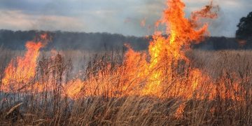 Incendiu de vegetație uscată la Vulcana-Pandele: pompierii militari din cadrul ISU Dâmbovița au intervenit pentru stingerea focului