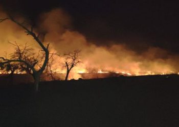 Flăcări de proporții la Valea Voievozilor! 5.000 mp de vegetație mistuiți în miez de noapte